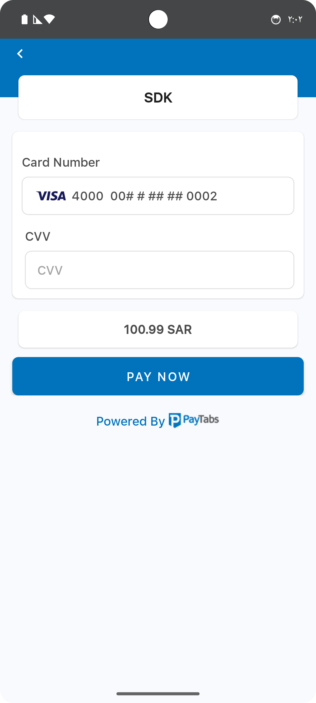 Payment Page Require CVV